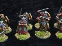 SAGA  (1 of 28)  2015 my latest additions to my Viking army